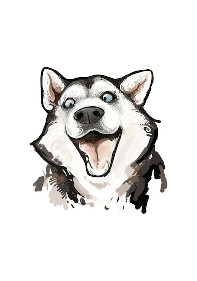 Husky Köpek Araba Sticker 18 Cm Etiket Yapıştırma