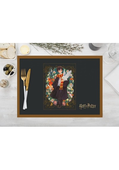 Harry Potter Characters Kumaş Amerikan Servis 4'lü Set 35x50cm Çok Renkli