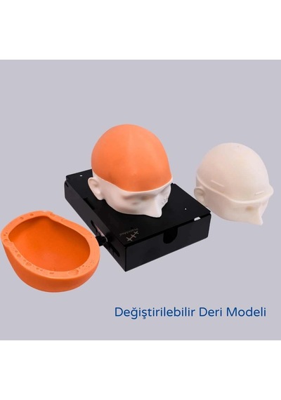 Saç Ekimi Eğitim Seti Gerçekçi Anatomik Model Ve Simülasyon