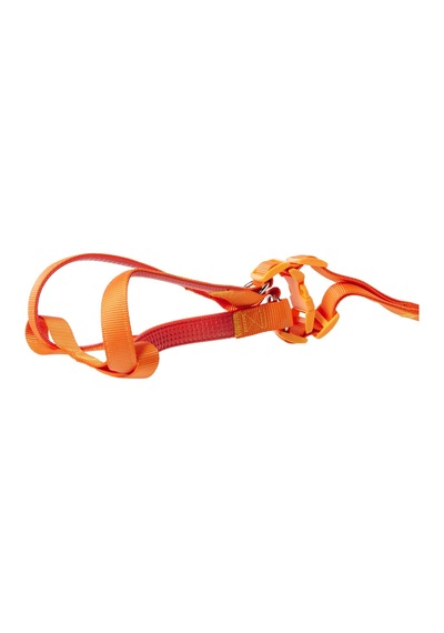 Euro Dog Köpek Uzatma Tasması+göğüs Tasması 25mm 120cm Turuncu