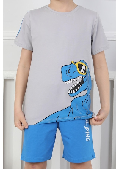 Dinozor Baskı Erkek Çocuk Takım-90432 Gri