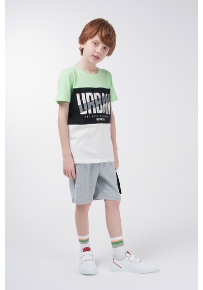 Brz Kids Kontrast Renkli Baskılı Erkek Çocuk Kısa Kollu T-Shirt Çok Renkli