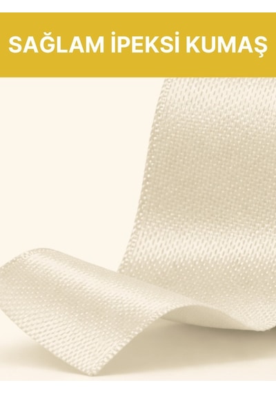 Alban Medikal Sabitleme Flasteri İpek Bant 10 CM x 5 M