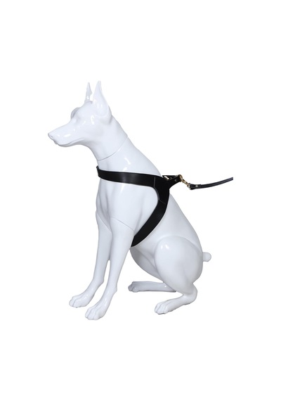 Dog Harness Siyah, 52-64 Cm
