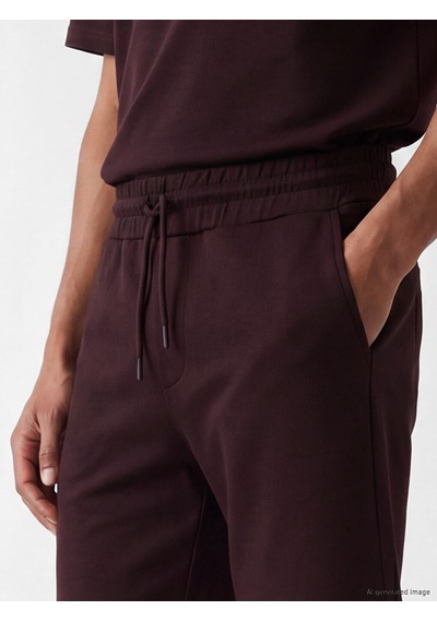 Lcw Vision Mürdüm Regular Fit Erkek Şort