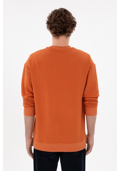 U.S. Polo Assn. Erkek Comfort Fit Bisiklet Yaka Tarçın Sweatshirt 50290777-VR191