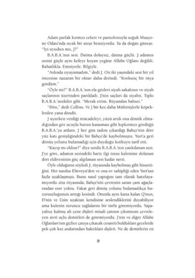Teftiş: Gizemli Bir Roman Denemesi