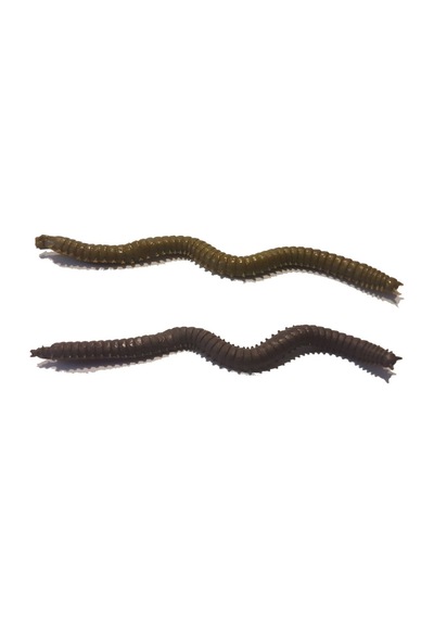 Fladen Vermz Kum Solucanı 9.5 Cm 15p