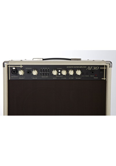 Cort Af30 Akustik Gitar Ve Saz Amfisi, 30w