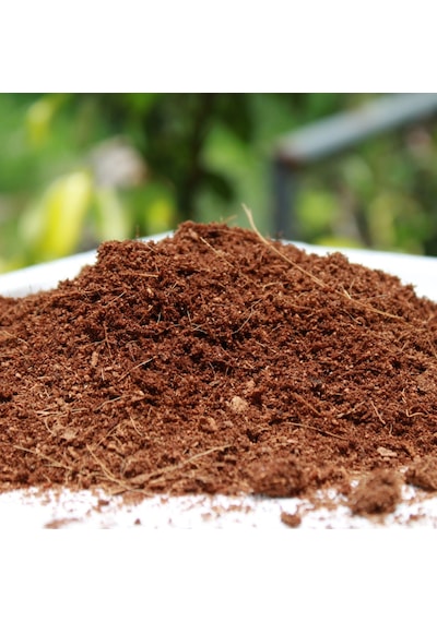 2 Adet 2,5 Litre Hindistan Cevizi Torfu Cocopeat Kokopit Ponza