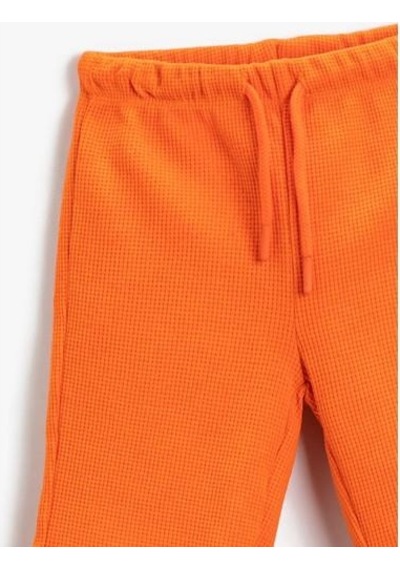 1ykb46222ok Reg2 Bayı Shorts Turuncu