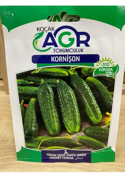 Agr Kornişon Salatalık Tohumu SALATALIK