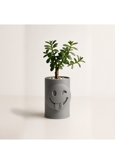 3d Baskı Emoji Planter - Göz Kırpan Yüzlü Sukulent Saksısı-gri