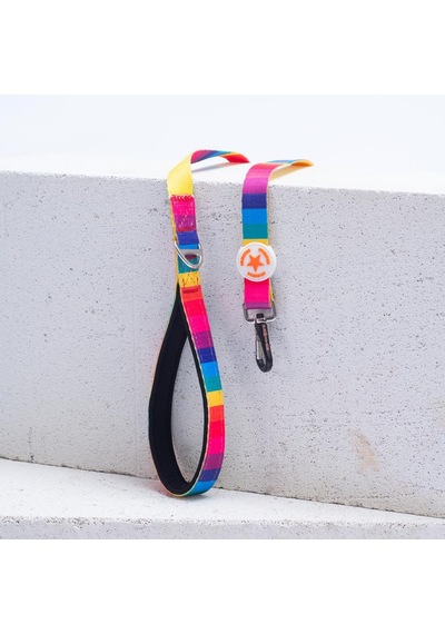 Rainbow Leash Gökkuşağı Desenli Kedi Köpek Sevk & Gezdirme Kayışı Köpek Uzatma Tasması Çok Renkli