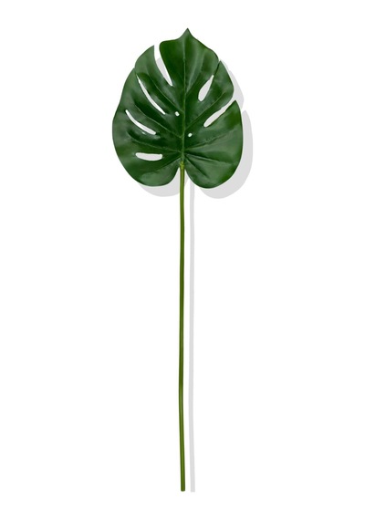 Cihan Çiçekçilik Yapay Tek Dal Monstera Yaprağı 68 Cm Yeşil