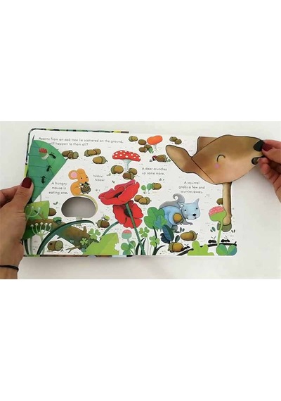Peep Inside a Tree - Anna Milbourne - Usborne
