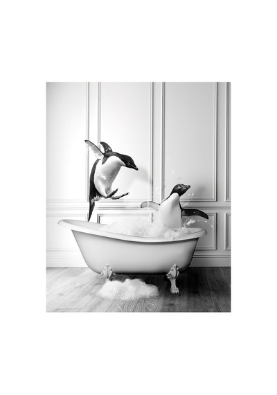 Küvette Penguenler Tasarımlı Mdf Duvar Dekorasyonu Mdf Çok Renkli Çerçevesiz