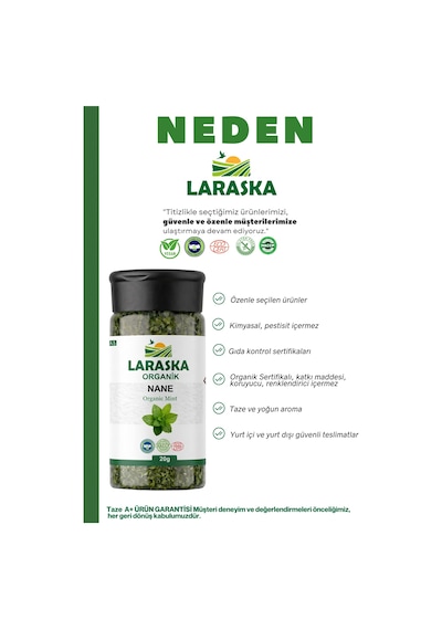 Organik Nane 100g- Organic Mint 100g