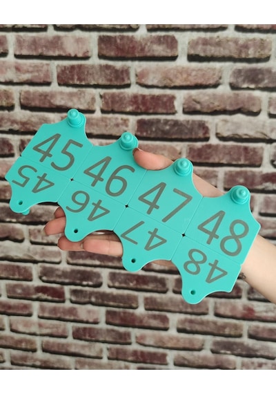 350 Adet Büyükbaş Kulak Küpesi Standart Boy