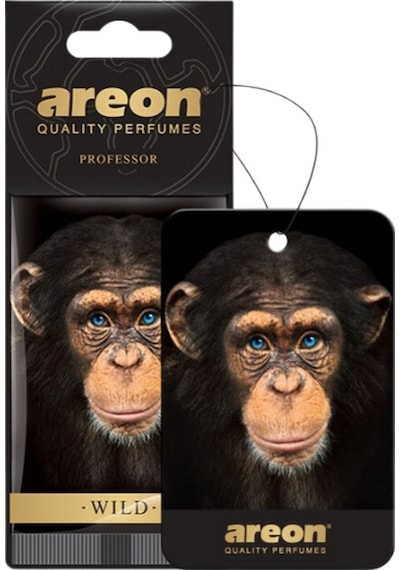 Areon Wild Professor Oto Araç Kokusu