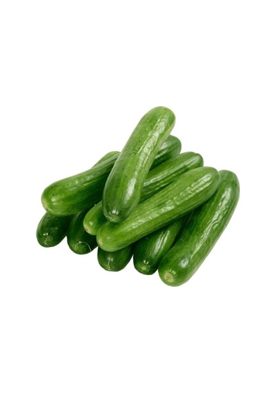 Tedar Hıyar Tohumu 20 Gr Najmaddin Standart