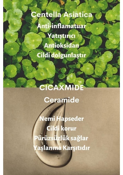 Dermal Centella Seramid Sakinleştirici Ve Göz Ve Yüz Bakım Dermal.cıca.004-02
