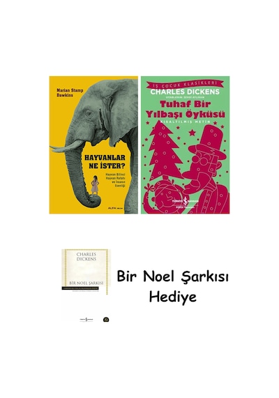 Hayvanlar Ne İster + Tuhaf Bir Yılbaşı Öyküsü + Bir Noel Şarkısı