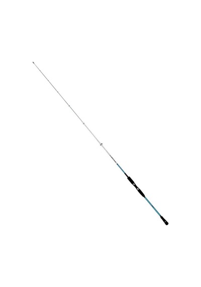 Fujin Bluegame 203 Cm 60-140 Gr Light Jig Kamışı