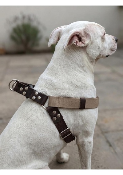 Köpek Göğüs Tasması Büyük & Dev Irk Ayarlamalı Kolon Kordon Ve Nubuk Deri Kahverengi & Vizon Genel