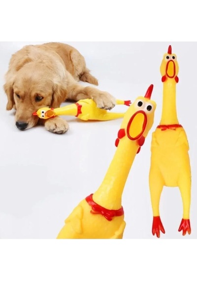 Mucit Home Öten Tavuk Köpek Oyuncağı Medium 30 Cm