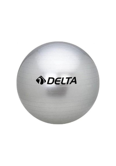 Delta 55 Cm Dura-strong Deluxe Pilates Topu