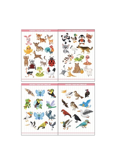 Eğitim Etiketleri Denizde, Havada, Karada Yaşayan Canlılar Figürler, 135 Adet Opak Sticker Renkli