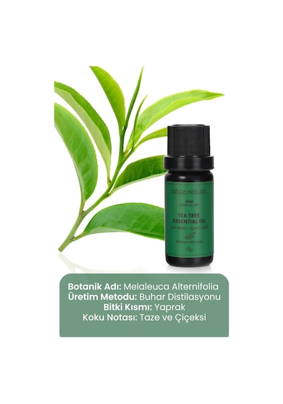 Bade Natural Çay Ağacı Uçucu Yağı %100 Saf 10 ML