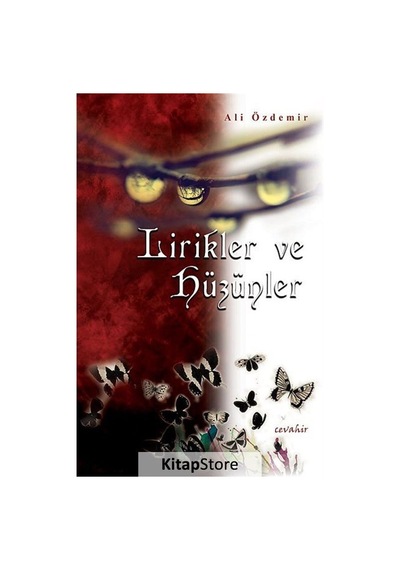 Lirikler ve Hüzünler - Ali Özdemir - Cevahir Yayınları