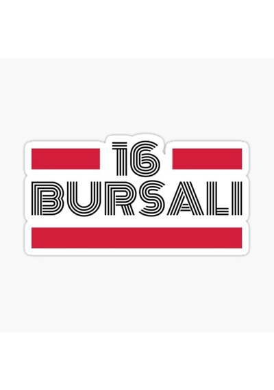 16 Bursalı Plaka Araba Sticker Yapıştırması