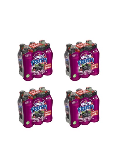 Uludağ Frutti Karadut & Frenk Üzümü Aromalı Maden Suyu 200 Ml X 24 Adet