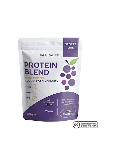 Naturiga Berry Protein Karışımı 250 G