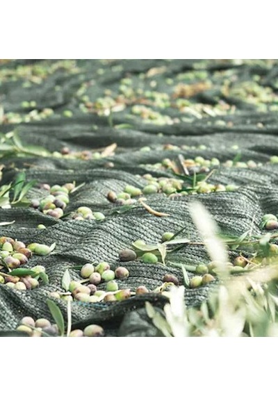 6 Mt. X 4 Mt. Zeytin Toplama Sergisi - 65gr. %75 Gölgelik File 1. Kalite / Dikişsiz