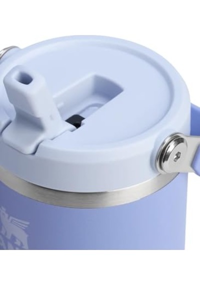 Buz Akışı Go 600ml/20oz Flip Straw Wtr Btl Ortanca Genel