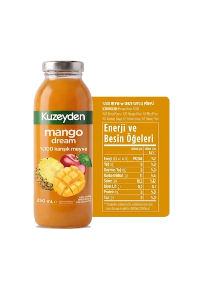 %100 Meyve Mango Dream 12x250ml