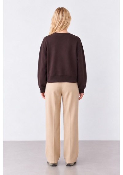 Quzu Brown Sugar Nakış Detaylı İçi Yumuşak Kadın Sweatshirt Kahverengi Kahverengi