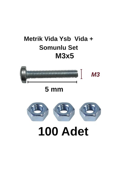 M3x5mm Metrik Vida Ysb - Somunlu 100'lü Takım Diğer