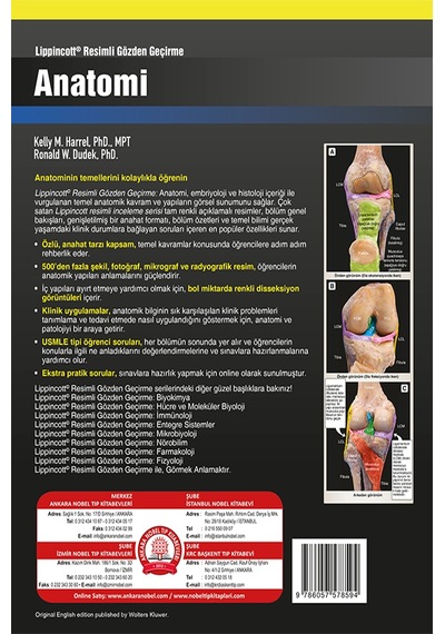 Lippincott Anatomi Resimli Gözden Geçirme
