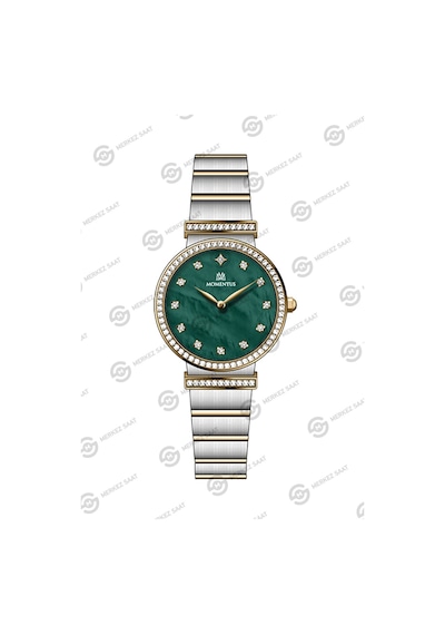 Momentus Women's Shiny Ss396t-15sg Gri
