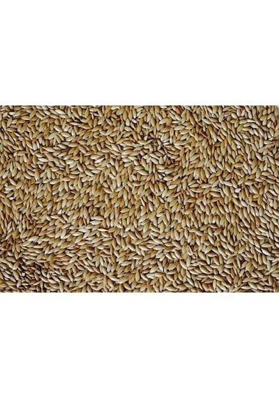 Kanarya Yemi 5 KG ( Sade )