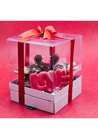 Nin Chocolate Sevgiliye Love Kuş Figürlü Büyük Spesiyal Çikolata Kutu