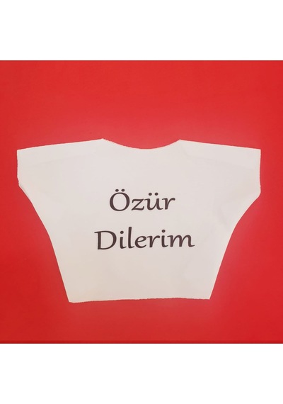 Özür Dilerim Yazılı Peluş Oyuncak Ayı Tişörtü Diğer