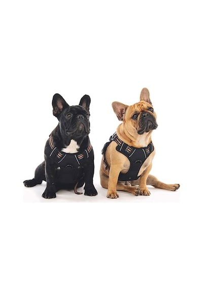 M-pets Hiking Reflektörlü Köpek Göğüs Tasması Turuncu Medium 40-75 Cm 244-58022.02 Renkli
