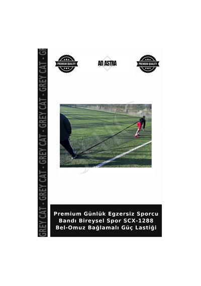 Premium Günlük Egzersiz Sporcu Bandı Bireysel Spor Scx-1288 Bel-omuz Bağlamalı Güç Lastiği Çok Renkli