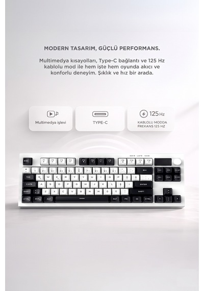 Kablolu Klavye Rgb Işıklı Sessiz Q Klavye Tk12